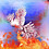 saro_official