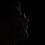 Shab_Nevis